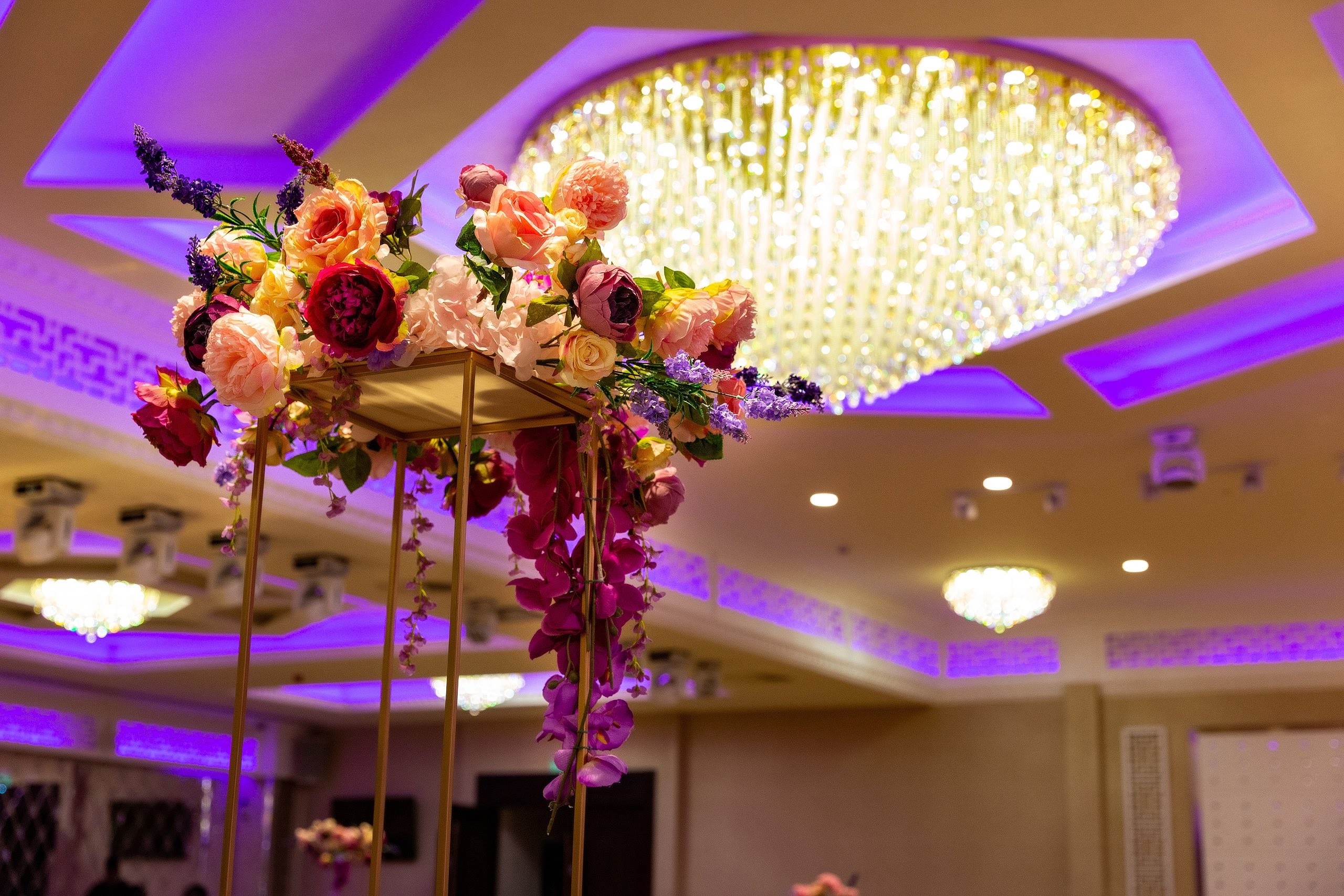 bevonburkeltd-191104-6a1a3252