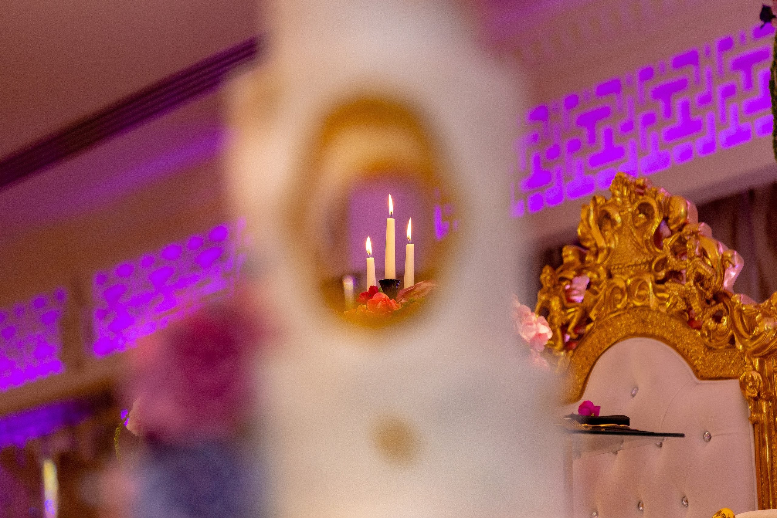 bevonburkeltd-191104-6a1a3277